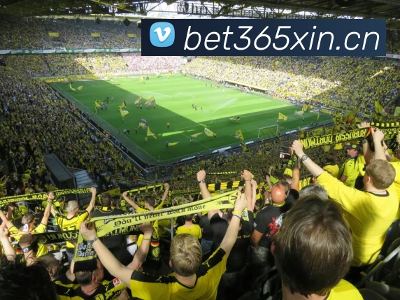 bet365中国官网全站App